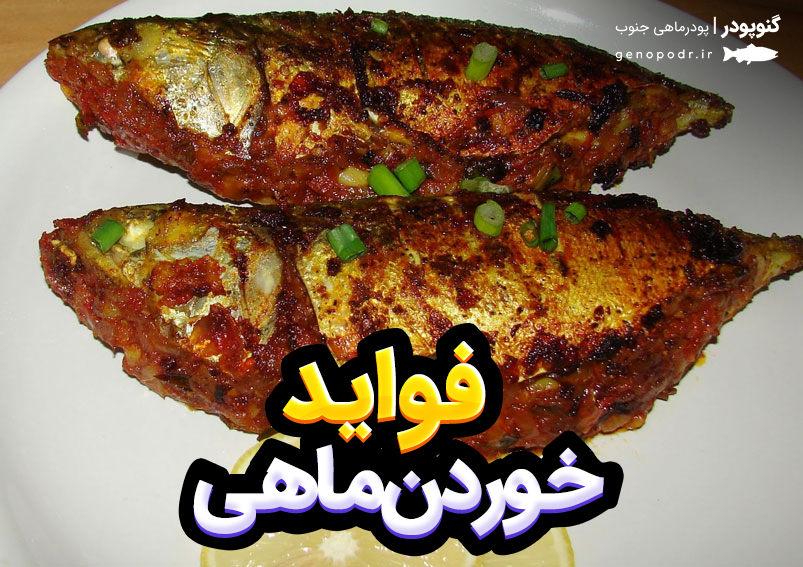 خواص ماهی؛ چرا باید بیشتر برای سلامت بدن ماهی بخوریم؟