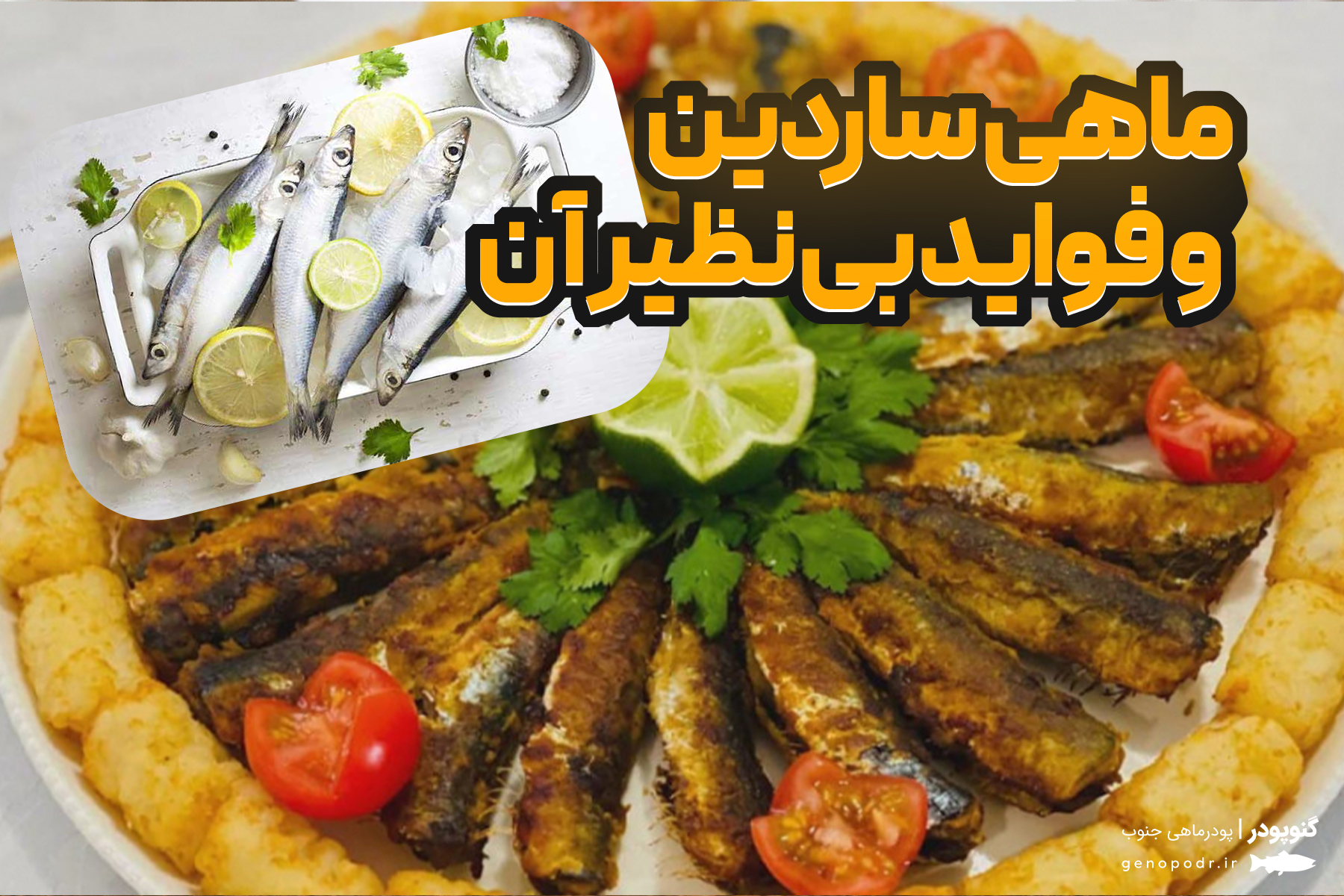 ۸ بیماری که ماهی ساردین از شما دور می کند!