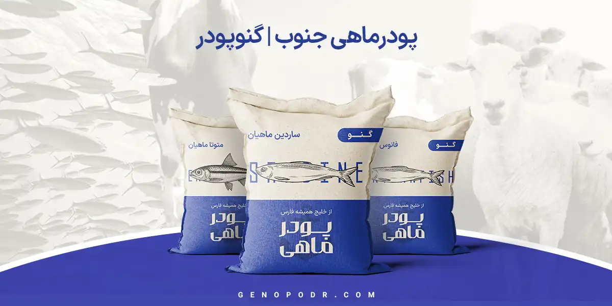 رفتار صادقانه و شفاف در محور اقدامات