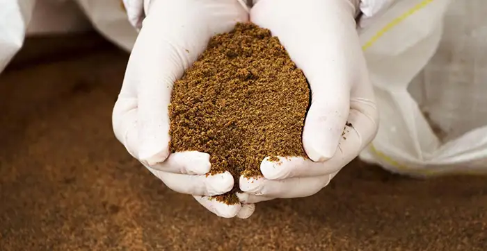 خرید پودرماهی