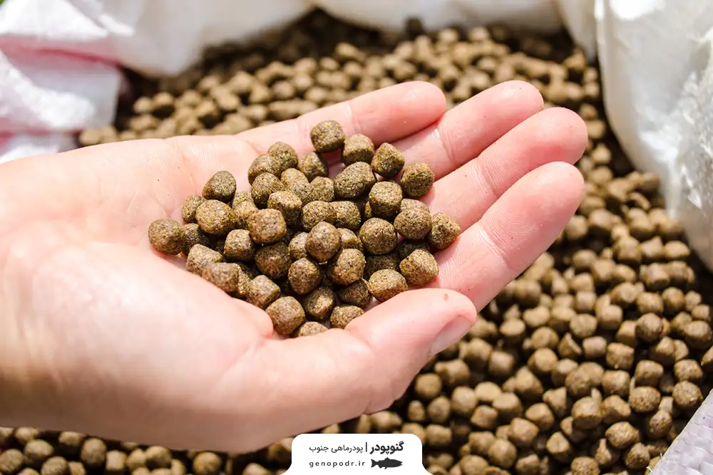 غذای خشک ماهی