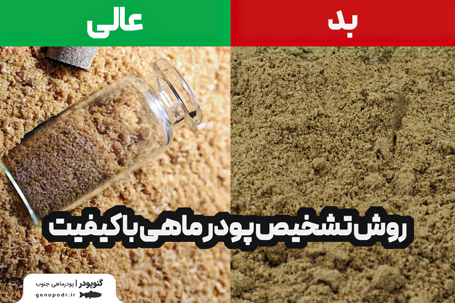 روش تشخیص پودر ماهی با کیفیت (+۷ نشانه ظاهری)
