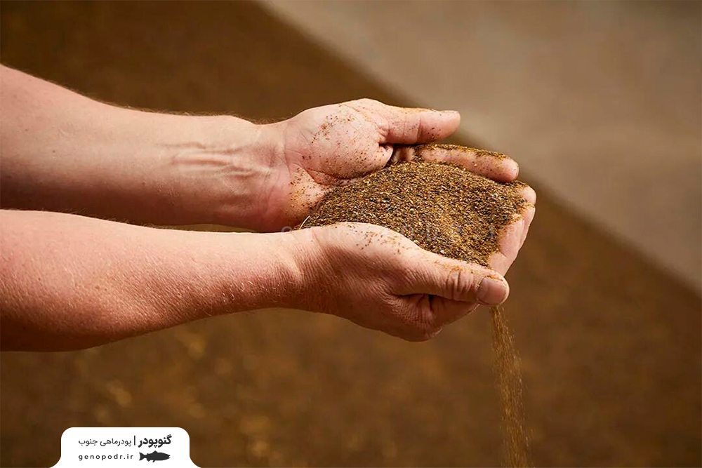 نکات خرید پودر ماهی